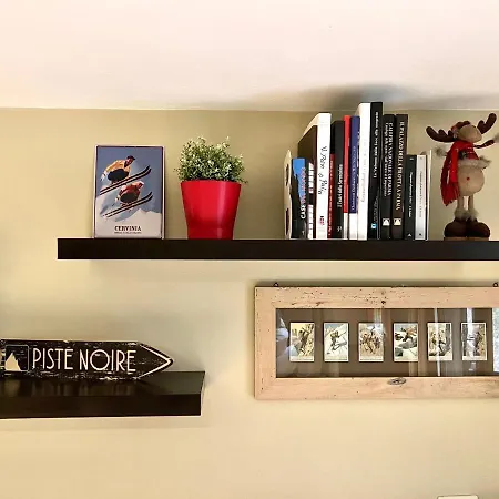 Apartment Pine Tree *