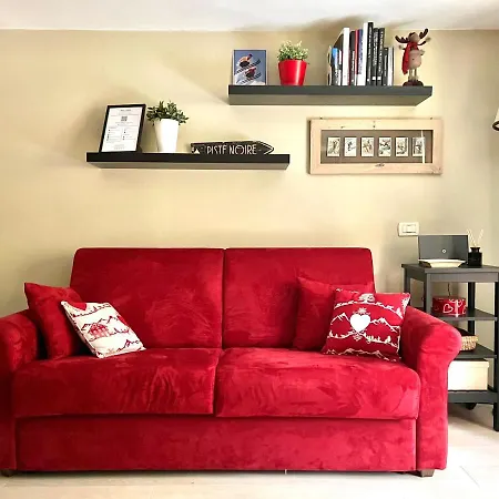 Apartment Pine Tree *